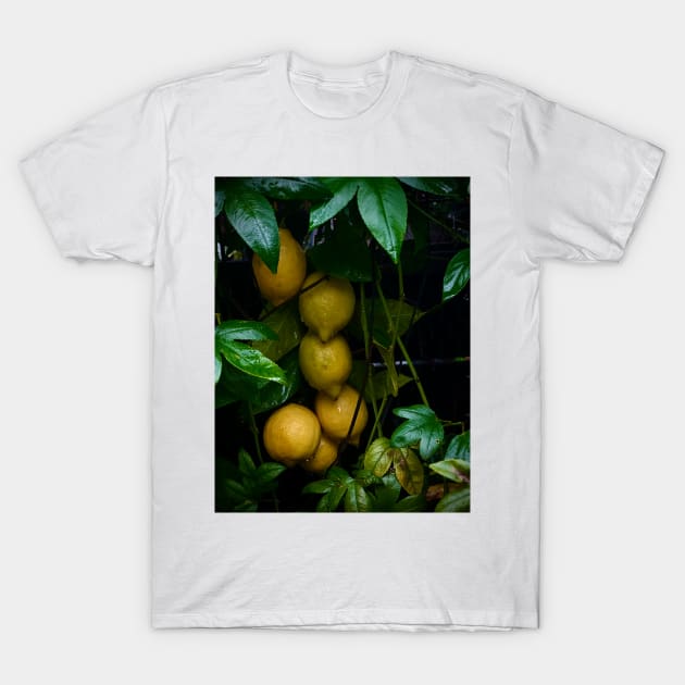 Italian restaurant lemon art T-Shirt by penandbea